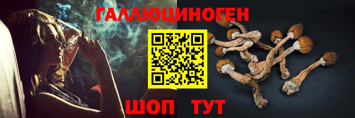 Галлюциногенные грибы мухоморы Алушта